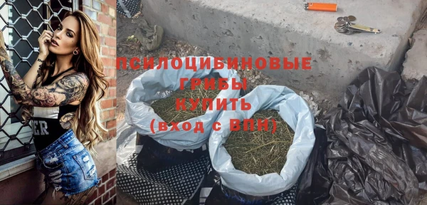 индика Куйбышев