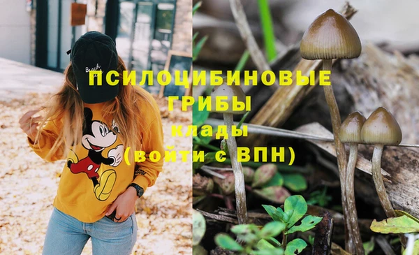 индика Куйбышев