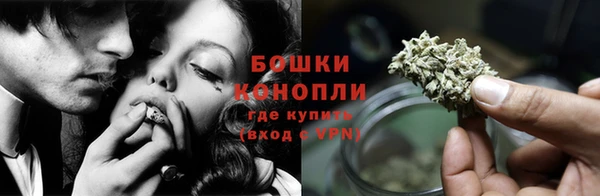индика Куйбышев