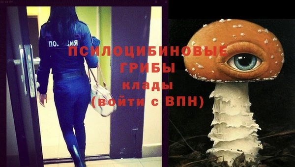 гашик Кукмор