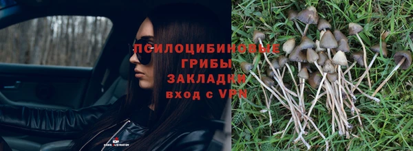 прущие крисы Россошь